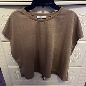 Zara Women's Beige Cropped Boxy Top